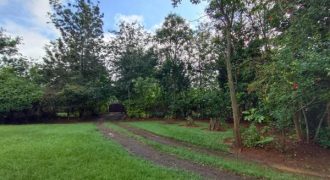 Vacant Land / Plot for Sale in Karen